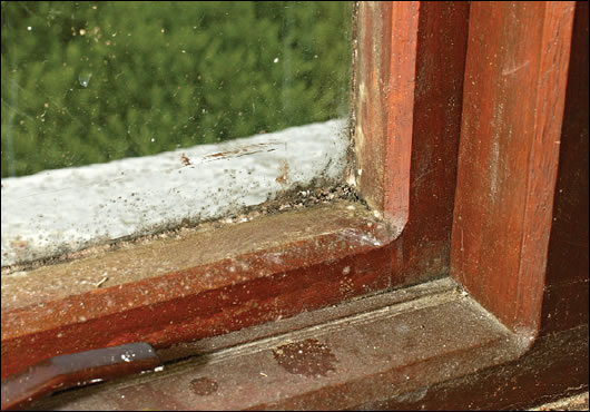 Single Glazing Another example of outmoded energy technology