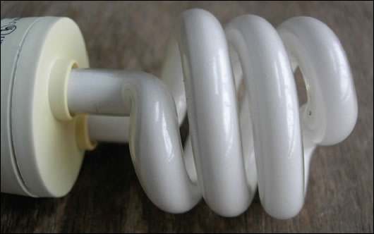 CFL Bulbs CFL bulbs can reduce energy use for lighting by 80% and their life cycle shows them to be a better investment by far