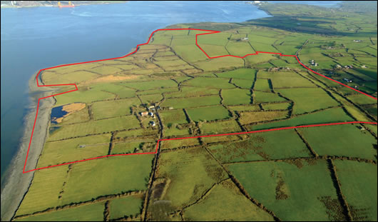 A photograph of the site for the proposed Shannon LNG terminal A photograph of the site for the proposed Shannon LNG terminal