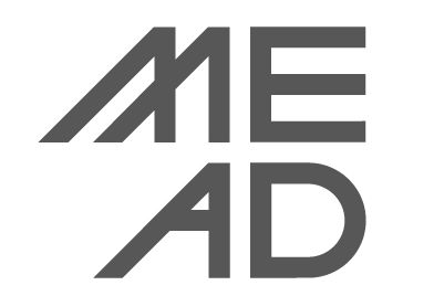 Mead Consulting