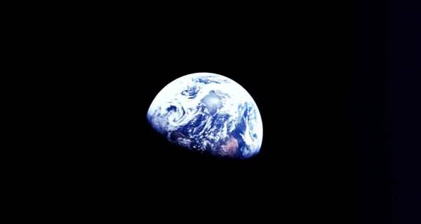 Environmental activism - tracing the roots of today's climate activism